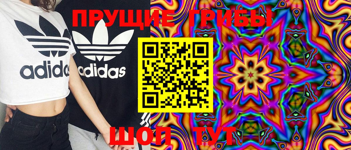 Галлюциногенные грибы Psilocybe Кострома