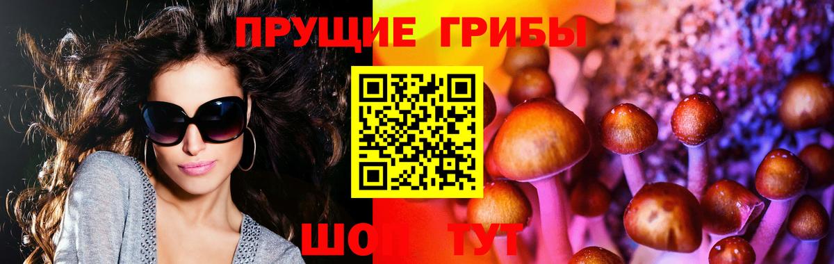 Псилоцибиновые грибы GOLDEN TEACHER  Галлюциногенные грибы Psilocybe  Вход с VPN  Кострома 